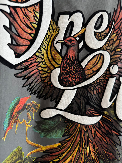 Grey Phoenix T-Shirt